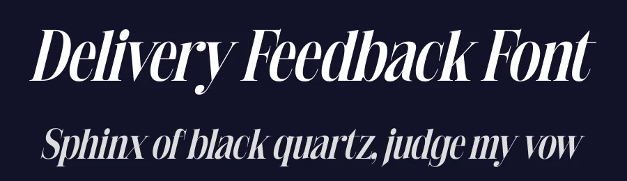 Delivery Feedback Font by timelesstype.co — Serif Font — thumbnail 2