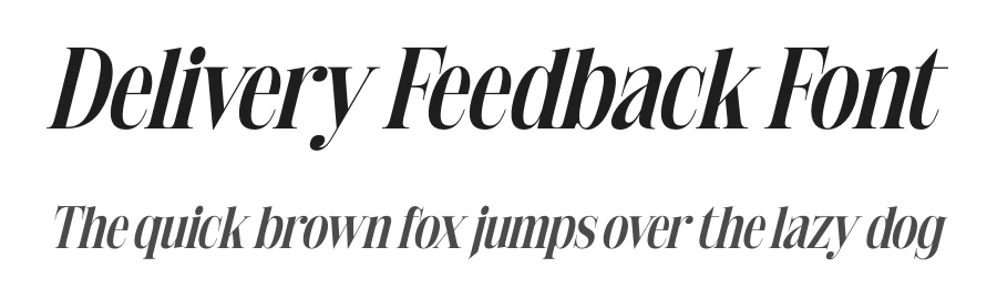 Delivery Feedback Font by timelesstype.co — Serif Font