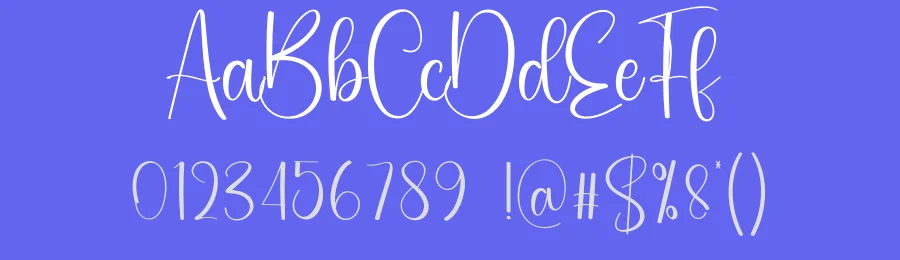Delivery Script Font by creativeletter — Script Handwritten Font — thumbnail 3