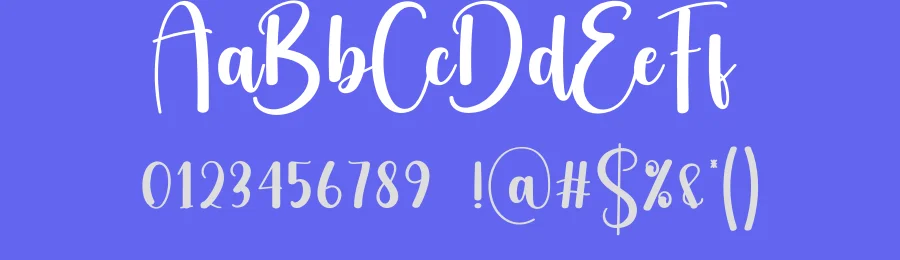 Delivery Script Font by creativeletter — Script Handwritten Font — thumbnail 3