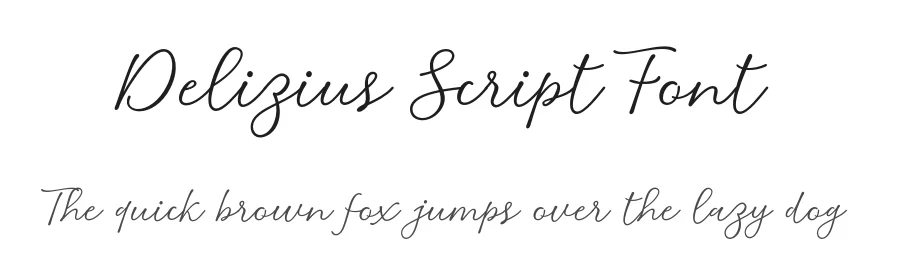 Delizius Script Font by saffatin.co — Script Handwritten Font