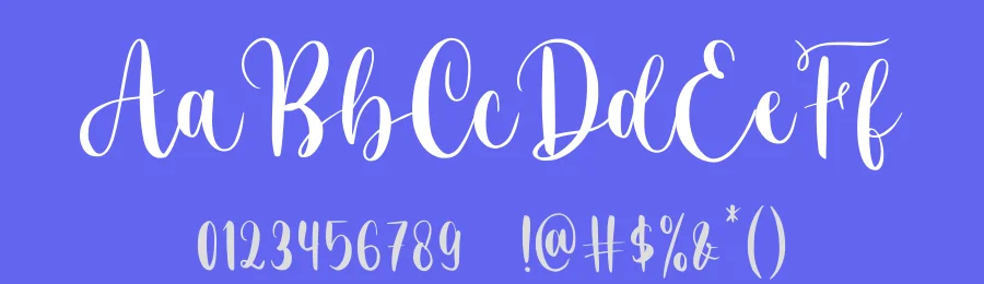 Delminsta Script Font by Creavibes Design — Script Handwritten Font — thumbnail 3
