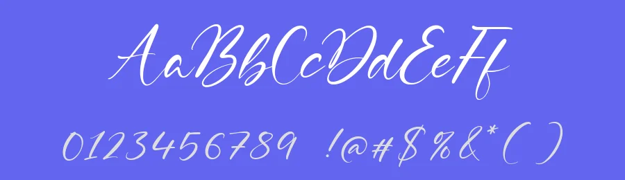 Delmona Calligraphy Font by balpirick — Script Handwritten Font — thumbnail 3