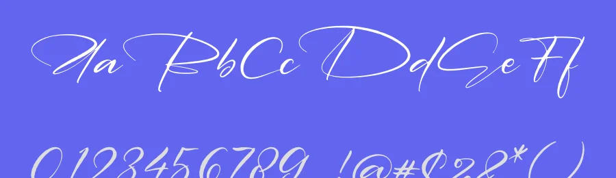 Delmonte Belarina Font by letterfabric — Script Handwritten Font — thumbnail 3