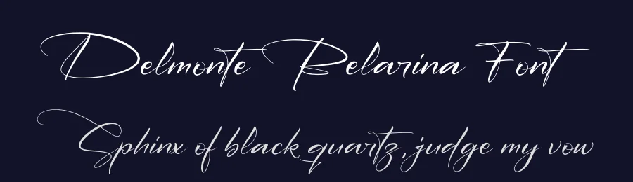 Delmonte Belarina Font by letterfabric — Script Handwritten Font — thumbnail 2