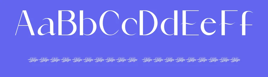 Delphia Maren Font by VinType — Display Font — thumbnail 3