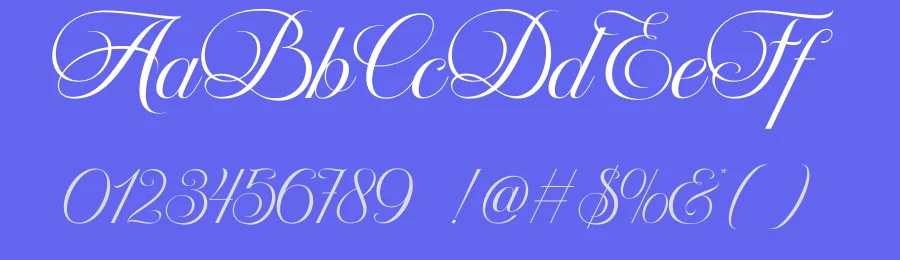 Delphia Village Font by Rantautype — Script Handwritten Font — thumbnail 3