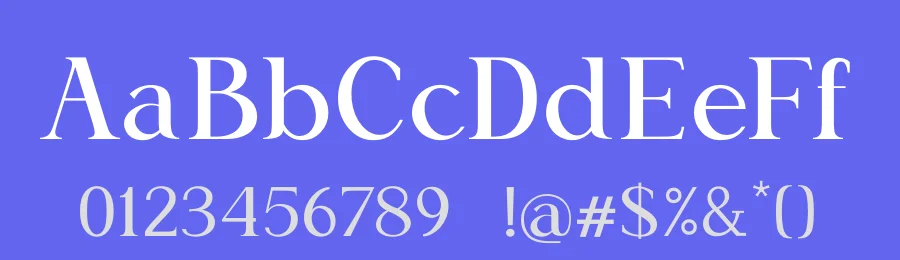 Delusion Variablefont Font by Basnistudio — Serif Font — thumbnail 3