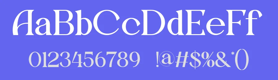 Demica Font by ErmediaStudio — Serif Font — thumbnail 3