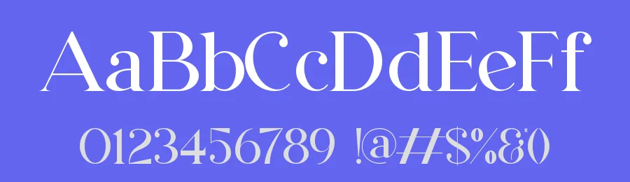 Denalea – A Modern Serif Font by Slide Shoot Type — Sans Serif Font — thumbnail 3