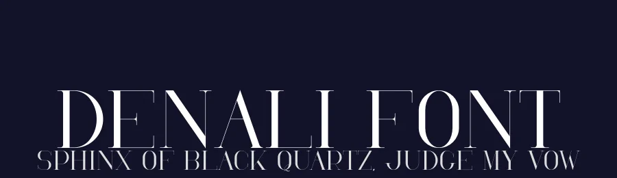 Denali Font by vpcreativeshop — Serif Font — thumbnail 2