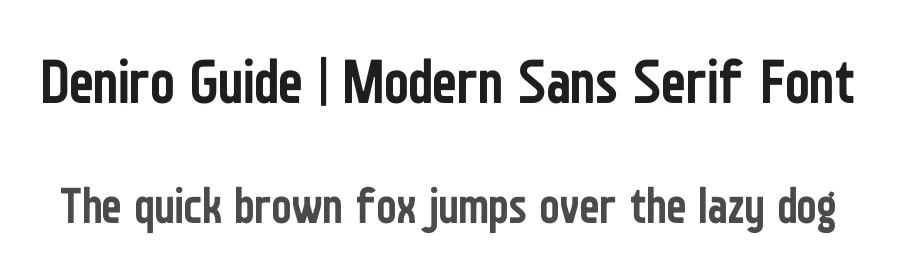 Deniro Guide | Modern Sans Serif Font by Gracetypestudio β Sans Serif Font