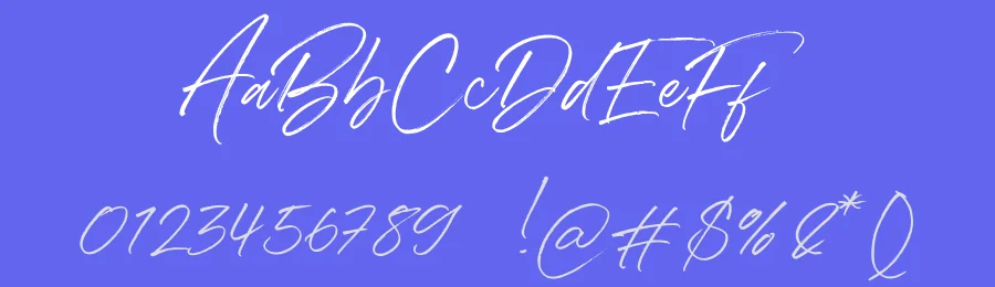 Denmark Handwritten Font by Letteralle Studio — Script Handwritten Font — thumbnail 3