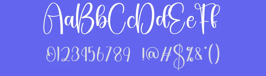 Design Script Font by creativeletter — Script Handwritten Font — thumbnail 3