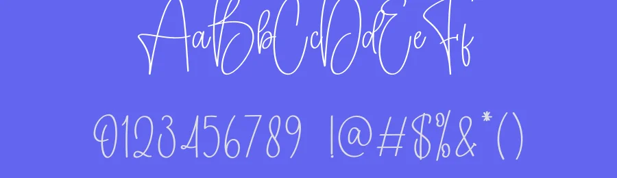 Designer Calligraph Script Font by creativeletter — Script Handwritten Font — thumbnail 3