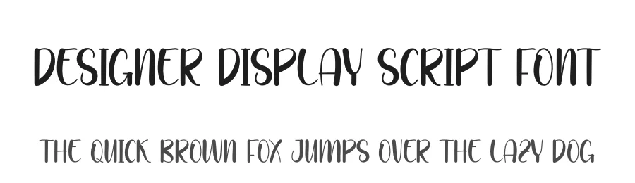 Designer Display Script Font by freshtypeink — Display Font