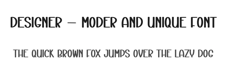 Designer – Moder And Unique Font by andikastudio — Display Font