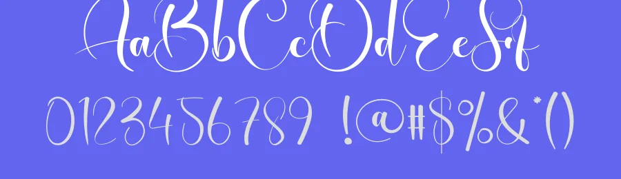Designer Script Font by creativeletter — Script Handwritten Font — thumbnail 3