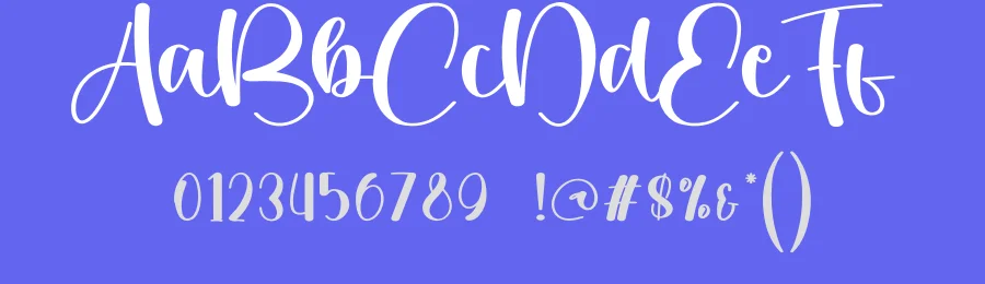 Designer Signature Calligraphy Font by creativeletter — Script Handwritten Font — thumbnail 3
