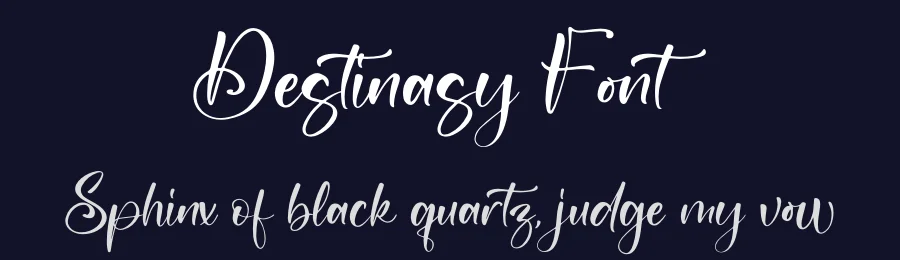 Destinasy Font by letterfabric — Script Handwritten Font — thumbnail 2
