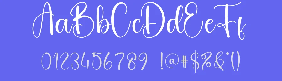 Destination Script Font by creativeletter — Script Handwritten Font — thumbnail 3
