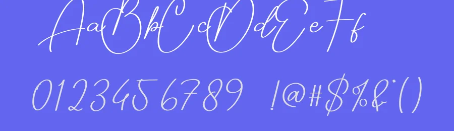 Destination Script Typeface by creativeletter — Script Handwritten Font — thumbnail 3