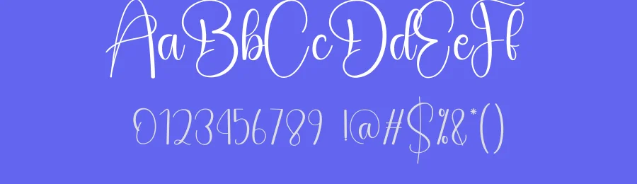 Destroy Script Font by creativeletter — Script Handwritten Font — thumbnail 3
