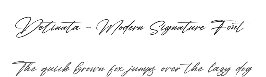 Detinata – Modern Signature Font by letternity — Script Handwritten Font
