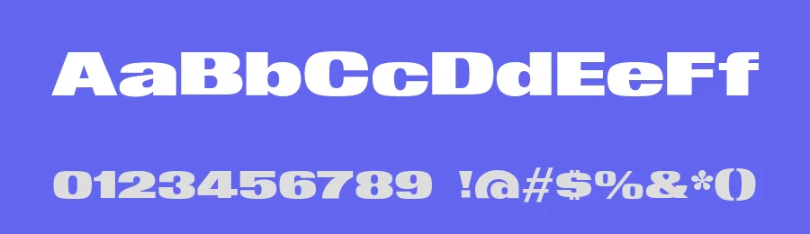 DGM Fette Font by Giulia Boggio — Sans Serif Font — thumbnail 3