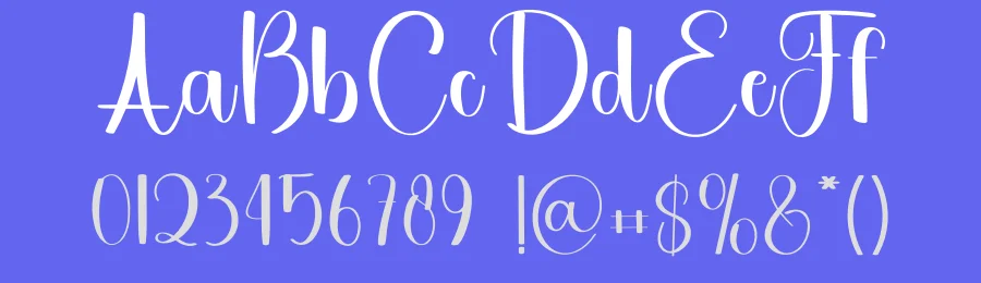 Diary Planner – Handwritten Script Font by freshtypeink — Script Handwritten Font — thumbnail 3