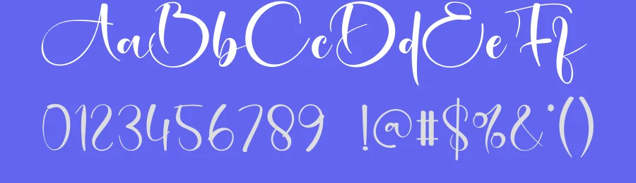 Diary Script Font by creativeletter — Script Handwritten Font — thumbnail 3