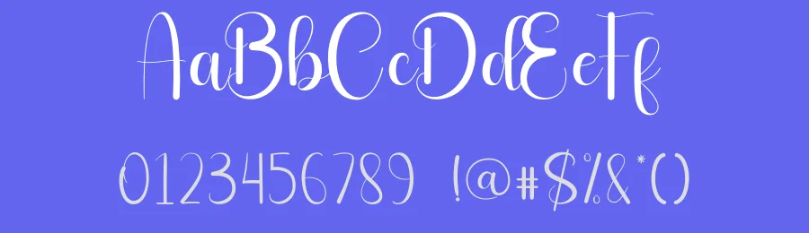 Diary Script Font by andikastudio — Script Handwritten Font — thumbnail 3