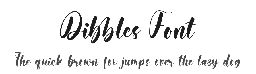 Dibbles Font by qwrtype — Script Handwritten Font