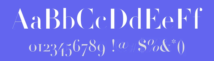 Didot Font by Linotype — Serif Font — thumbnail 3