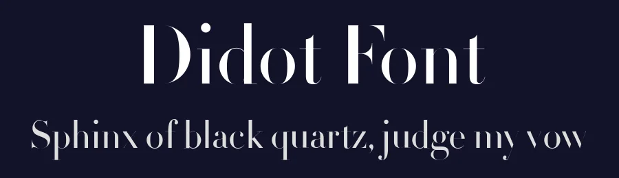 Didot Font by Linotype — Serif Font — thumbnail 2