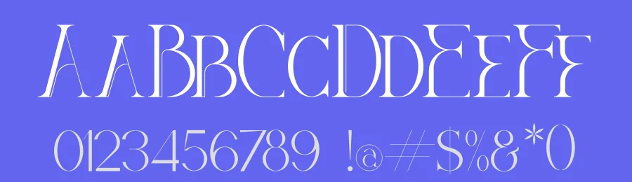 DIEGO Serif Font by Storytype — Serif Font — thumbnail 3