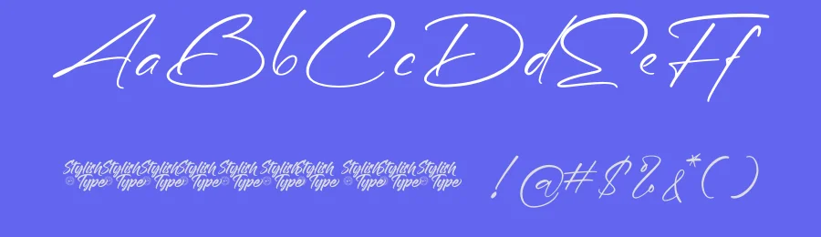 Diffe Rentys – Romantic Handwritten Font by stylishtype.co — Serif Font — thumbnail 3