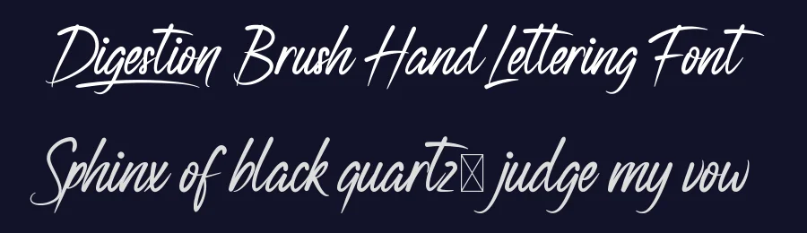 Digestion Brush Hand Lettering Font by nihstudio — Script Handwritten Font — thumbnail 2