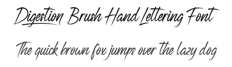 Digestion Brush Hand Lettering Font by nihstudio — Script Handwritten Font