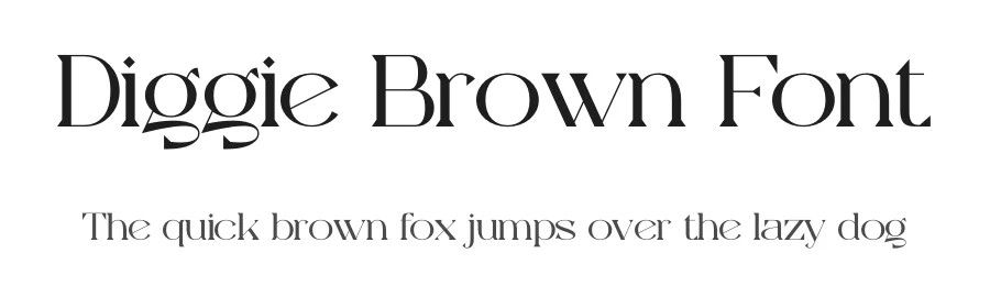 Diggie Brown Font by Denustudios — Serif Font