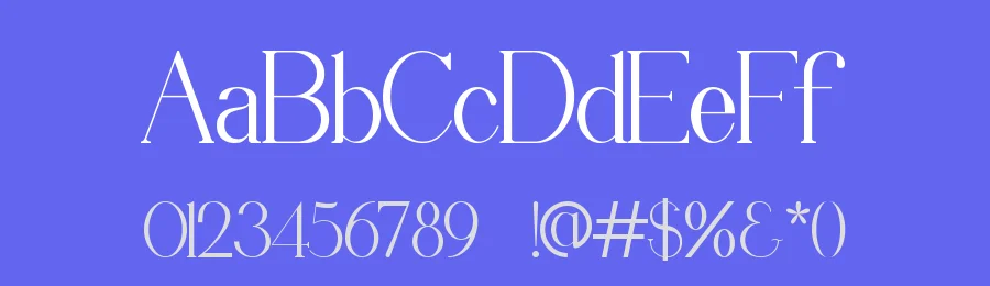 Digholl Font by ErmediaStudio — Serif Font — thumbnail 3