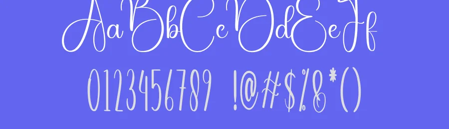 Digital Calligraphy Font by creativeletter — Script Handwritten Font — thumbnail 3