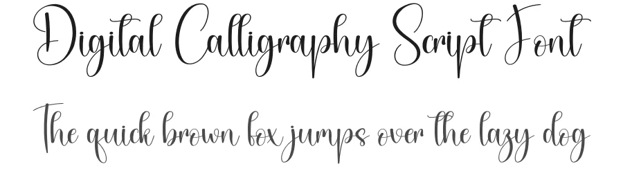 Digital Calligraphy Script Font by creativeletter — Script Handwritten Font