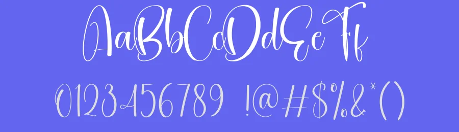 Digital Calligraphy Script Font by creativeletter — Script Handwritten Font — thumbnail 3