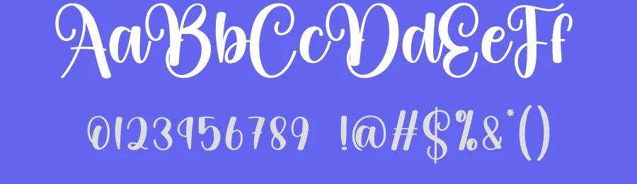 Digital Script Font by creativeletter — Script Handwritten Font — thumbnail 3