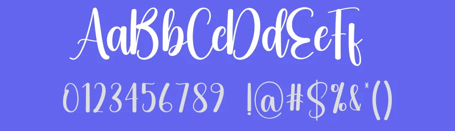 Digital Script Typeface by creativeletter — Script Handwritten Font — thumbnail 3