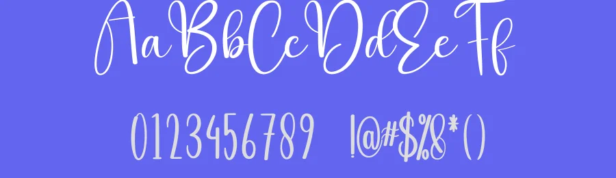 Digital Signature – Creative Handwritten Font by creativeletter — Script Handwritten Font — thumbnail 3