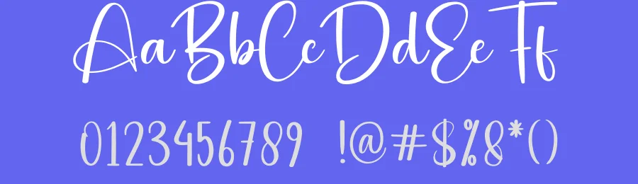 Digital Signature – Handwritten Script Font by creativeletter — Script Handwritten Font — thumbnail 3