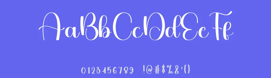 Digital Vintage Script Font by freshtypeink — Script Handwritten Font — thumbnail 3
