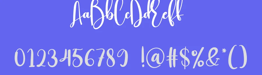 Diligence Script Font by creativeletter — Script Handwritten Font — thumbnail 3